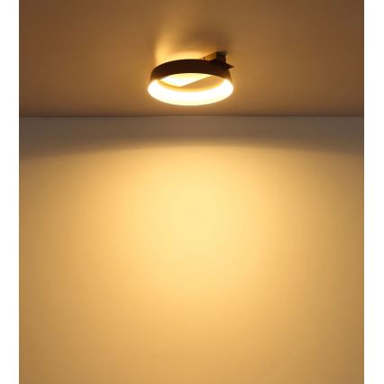 Globo - Plafoniera LED 12W/230V 3000K 26x25 cm