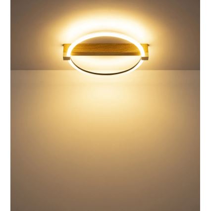 Globo - Plafoniera LED/15W/230V 3000K 41,4x38 cm beige