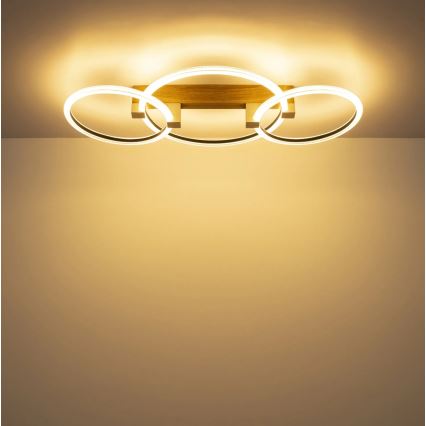 Globo - Plafoniera LED/40W/230V 3000K 76,1x38 cm marrone