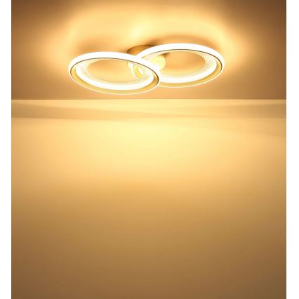 Globo - Plafoniera LED/30W/230V 3000K 31,5x52,5 cm