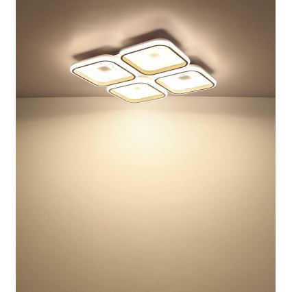 Globo - Plafoniera dimmerabile a LED 55W/230V 2700-6000K 54x54 cm + telecomando