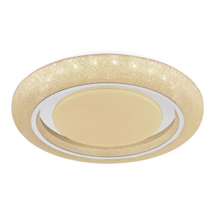 Globo 483111-40 - Lampada da soffitto LED RADA LED/40W/230V 2700/4200/6500K diam. 49 cm