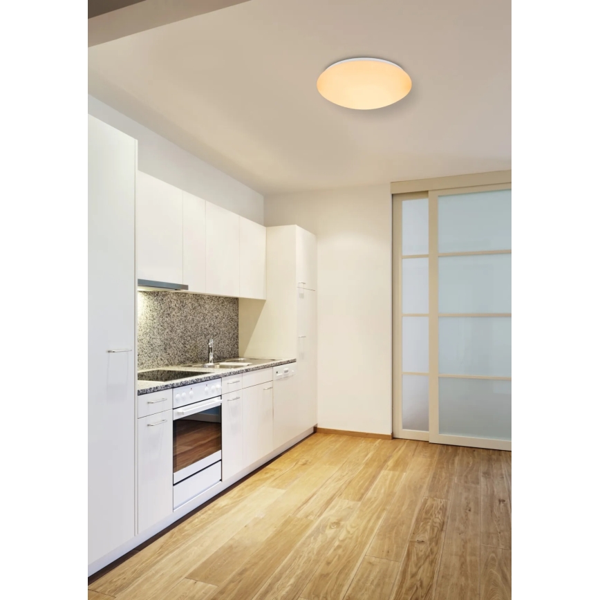 Globo - Plafoniera LED RGB dimmerabile LED/24W/230V + LED/8W 2700-6500K Ø 41 cm + telecomando
