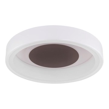 Globo 48398-24 - Plafoniera LED GOFFI LED/30W/230V