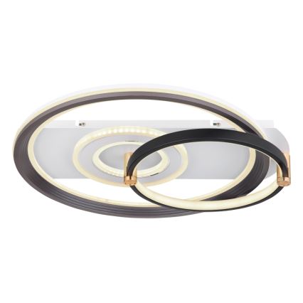 Globo 48459-46 - Plafoniera LED dimmerabile ANI LED/46W/230V 2700-6000K 48x52 cm + telecomando