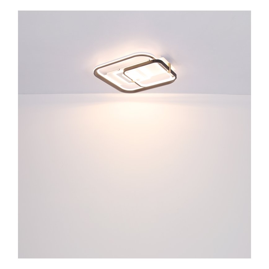 Globo 48459-48 - Plafoniera LED dimmerabile ANI LED/48W/230V 2700-6000K 48x52 cm + telecomando