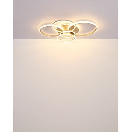 Globo - Plafoniera LED LED/70W/230V 3000K 88x110 cm beige