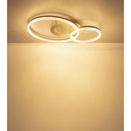 Globo - Plafoniera LED/30W/230V 3000K 70x50 cm beige