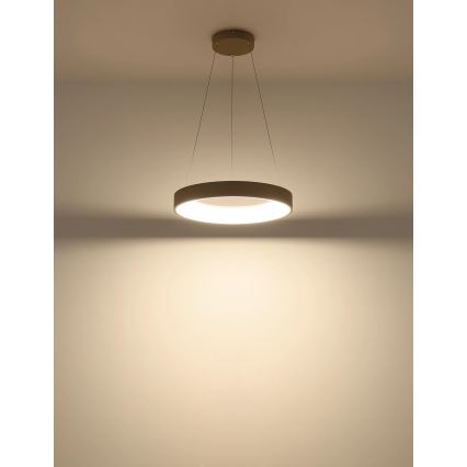 Globo - Lampadario LED dimmerabile a sospensione su cavo 48W/230V 2700-6000K + telecomando