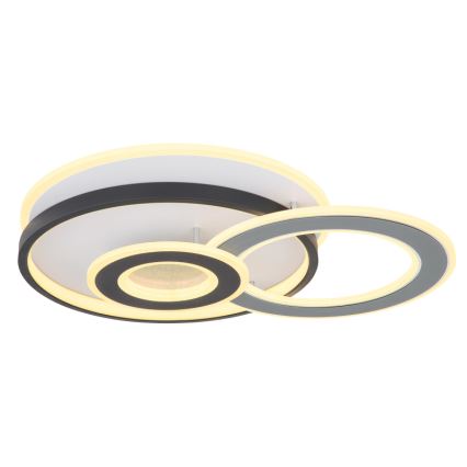 Globo 48552D4 - Plafoniera LED da soffitto BRIENNA LED/40W/230V 43x52 cm bianco/grigio