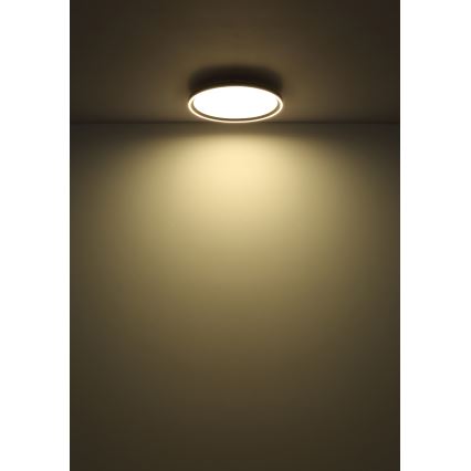 Globo - Plafoniera LED dimmerabile LED/48W/230V diametro 50 cm 2700-6000K + telecomando