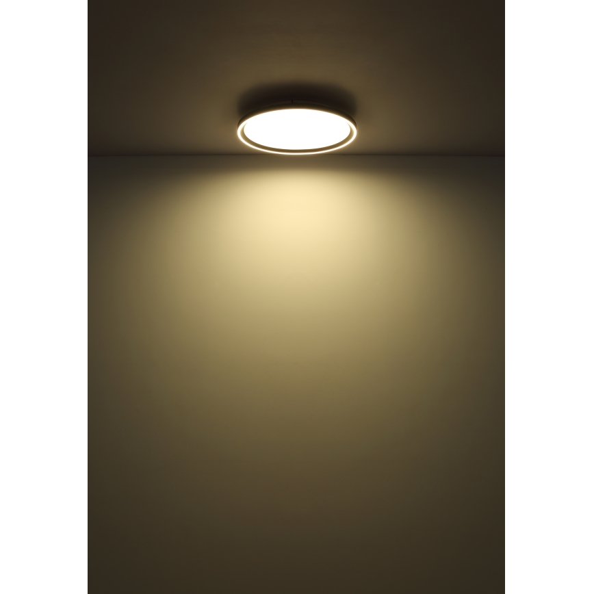 Globo - Plafoniera LED dimmerabile LED/48W/230V diametro 50 cm 2700-6000K + telecomando