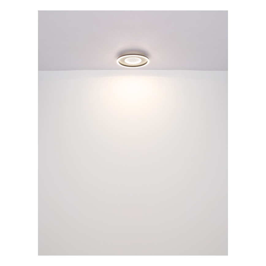 Globo - Plafoniera LED LED/24W/230V 2700/4500/6500K diametro 33 cm