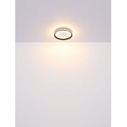 Globo - Plafoniera LED dimmerabile LED/24W/230V 2700-6000K + telecomando