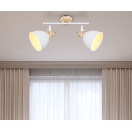 Globo - Luce Spot 2xE27/40W/230V