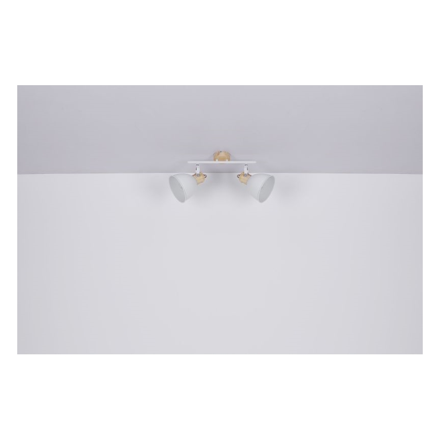 Globo - Luce Spot 2xE27/40W/230V