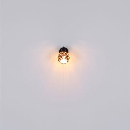 Globo - Faretto da parete 1xE27/40W/230V