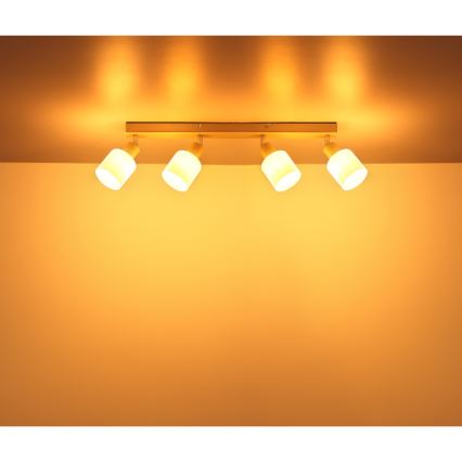 Globo - Plafoniera con 4 faretti E14/25W/230V