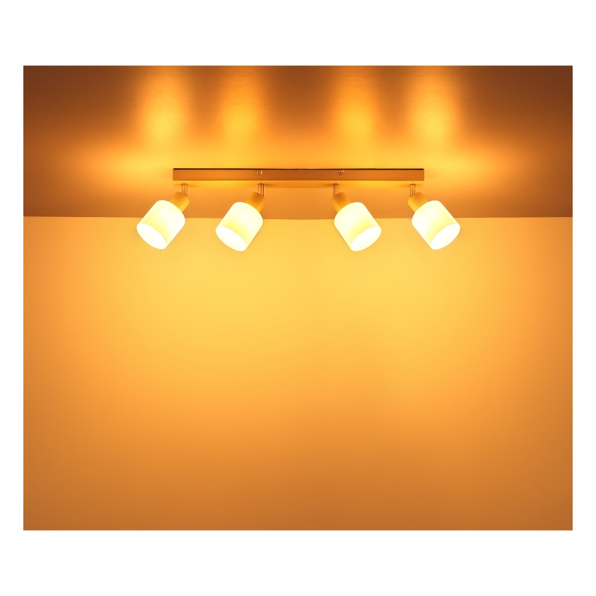 Globo - Plafoniera con 4 faretti E14/25W/230V