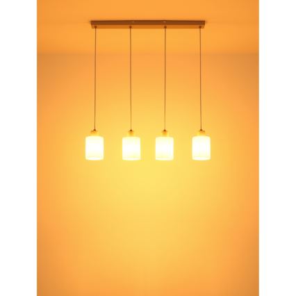 Globo - Lampadario su cavo 4xE27/40W/230V