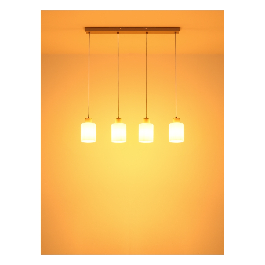 Globo - Lampadario su cavo 4xE27/40W/230V