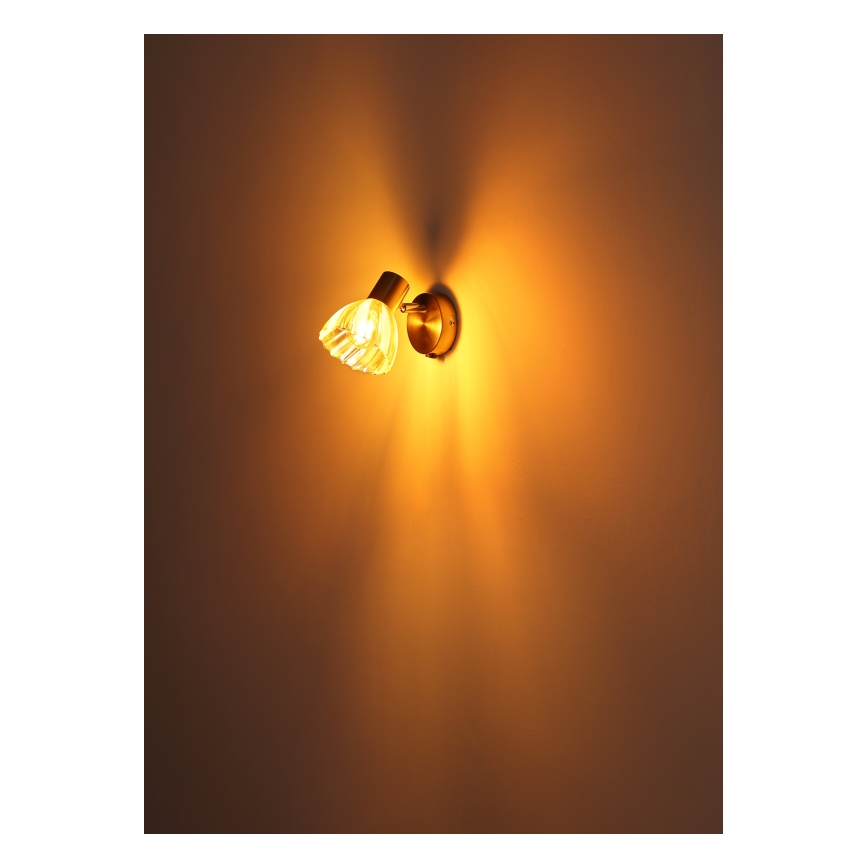 Globo - Faretto da parete 1xE14/40W/230V oro