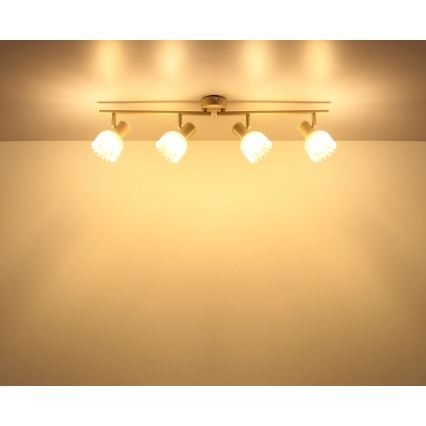 Globo - Plafoniera con 4 faretti 4xE14/40W/230V