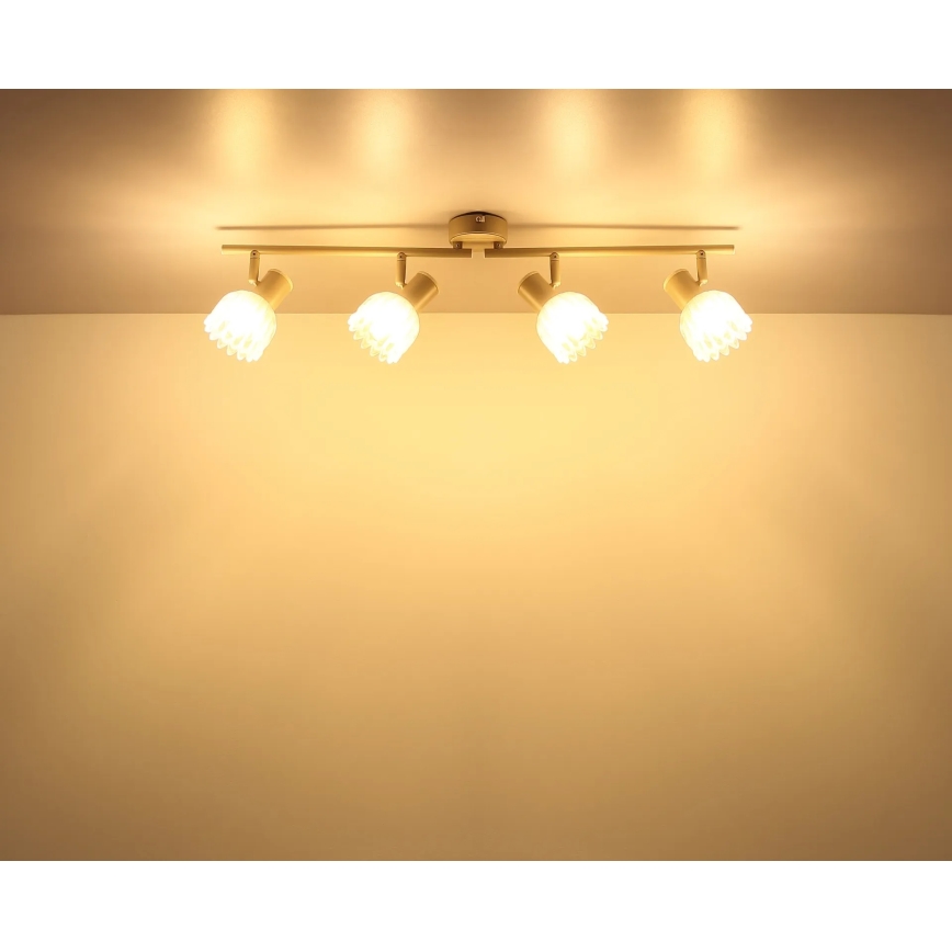 Globo - Plafoniera con 4 faretti 4xE14/40W/230V