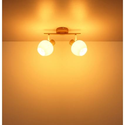 Globo - Faretto orientabile 2xE27/40W/230V