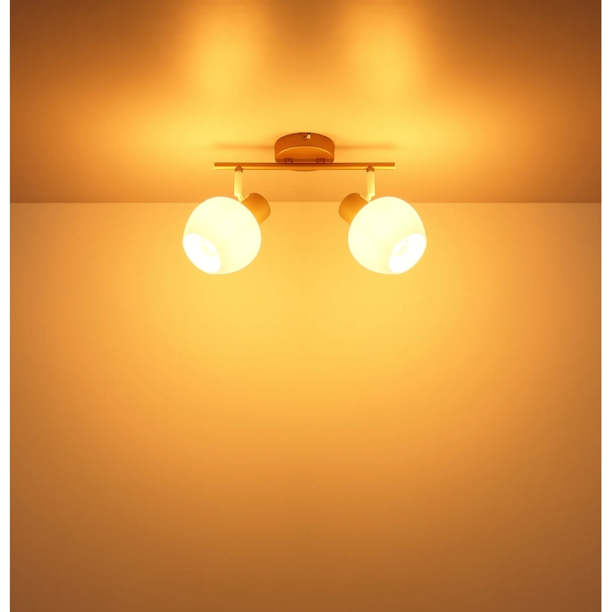 Globo - Faretto orientabile 2xE27/40W/230V