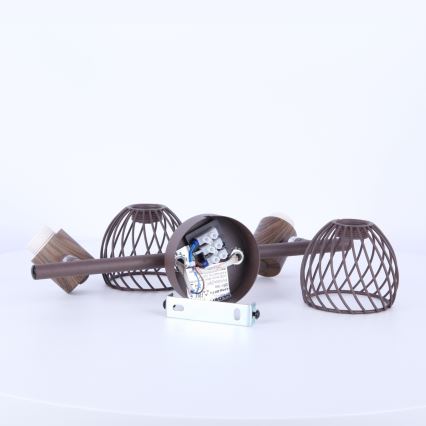 Globo 54817-2 - Luce Spot ISABELLE 2xE14/40W/230V