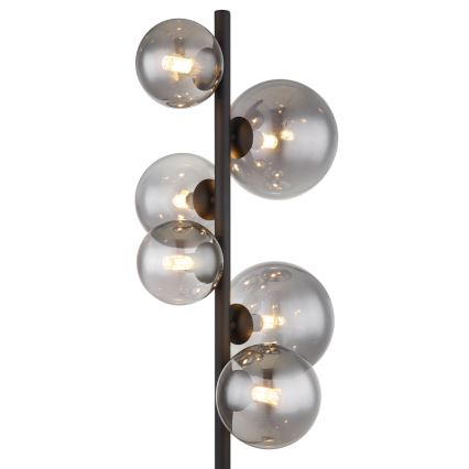 Globo - Lampada LED da terra 6xG9/3,5W/230V fumé/nero