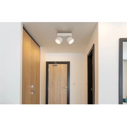 Globo - Faretto LED 2xLED/6W/230V
