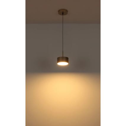 Globo - Lampadario a sospensione con cavo LED/12W/230V 3000K Ø 15 cm ottone