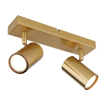 Globo - Faretto 2xGU10/35W/230V oro