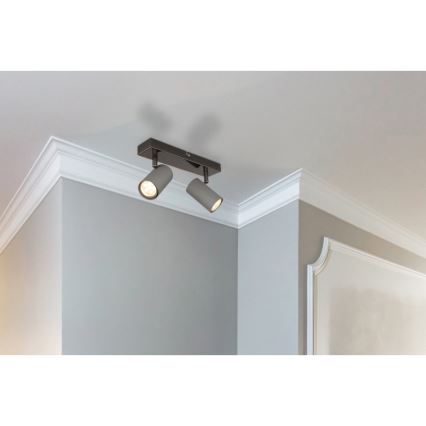 Globo - Faretto 2xGU10/25W/230V