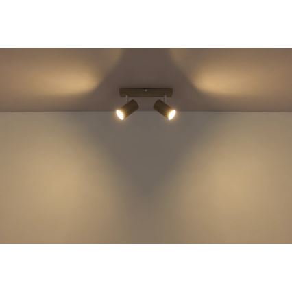 Globo - Faretto 2xGU10/35W/230V