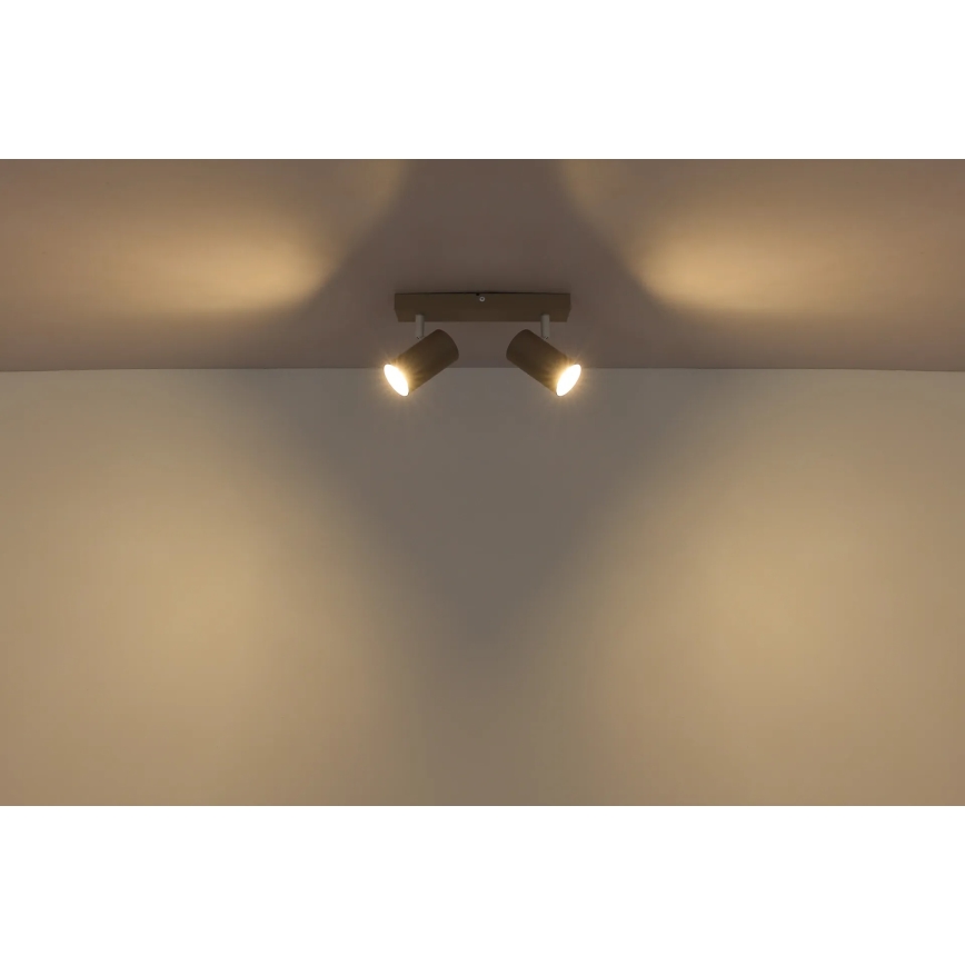 Globo - Faretto 2xGU10/35W/230V