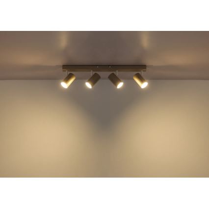 Globo - Plafoniera con 4 faretti GU10/35W/230V beige