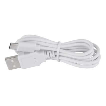 Globo - Lampada da tavolo LED dimmerabile con touch LED/1W/3,7V 3000K 1800 mAh USB bianca