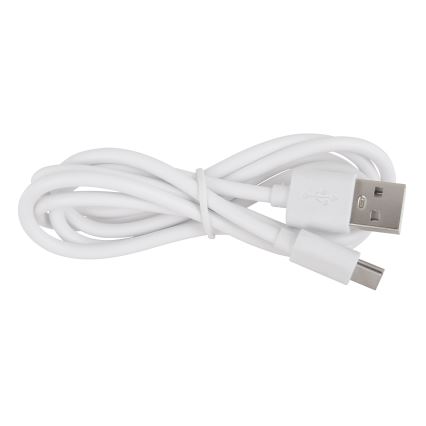 Globo 58482W-LED Lampada da tavolo ricaricabile da esterno dimmerabile VAN. 2W/5V 2200mAh IP44 bianco