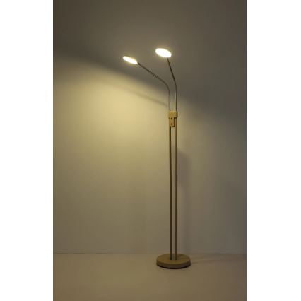 Globo - Lampada a piantana LED dimmerabile 2xLED/6,5W/230V 2700/3350/4000K beige