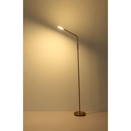 Globo - Lampada da terra dimmerabile a sfioramento LED/6,5W/230V 2700/3350/4000K ottone