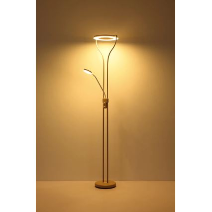 Globo - LED Lampada da terra dimmerabile LED/20W/230V + LED/4W 3000K