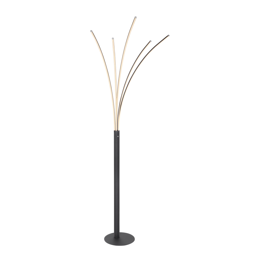 Globo - Lampada da terra dimmerabile a LED con controllo touch LED/36W/230V cromo lucido