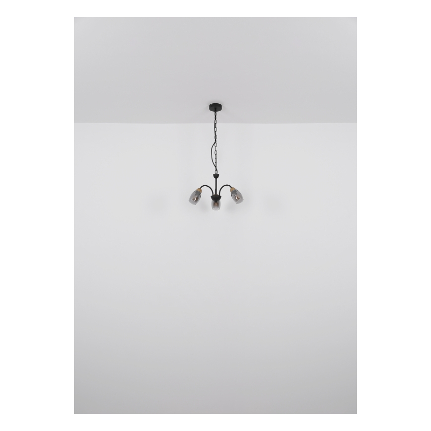 Globo - Lampadario a sospensione con catena 3xE14/25W/230V