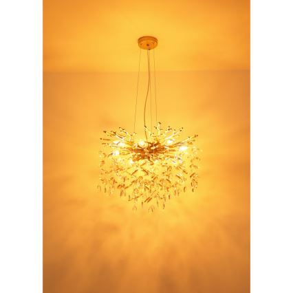 Globo - Lampadario sospeso con cavi 8xE14/40W/230V dorato