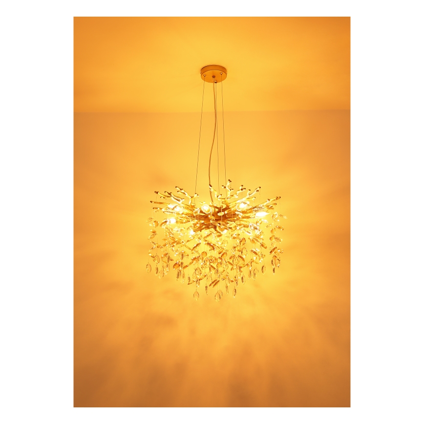 Globo - Lampadario sospeso con cavi 8xE14/40W/230V dorato