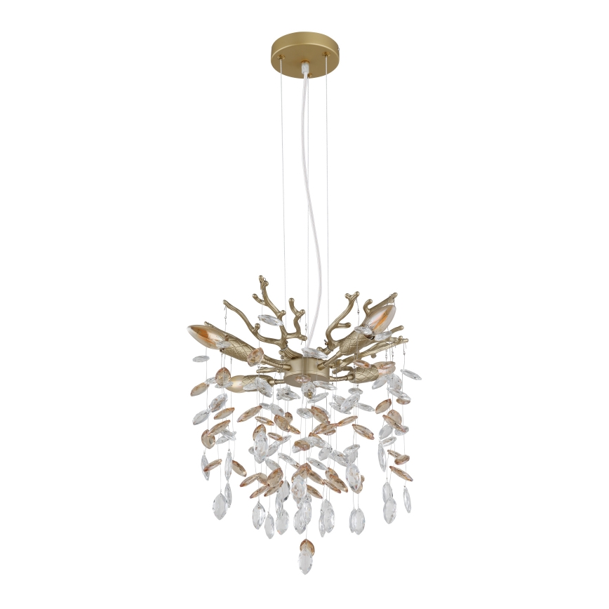 Globo - Lampadario a cavo 4xE14/40W/230V dorato