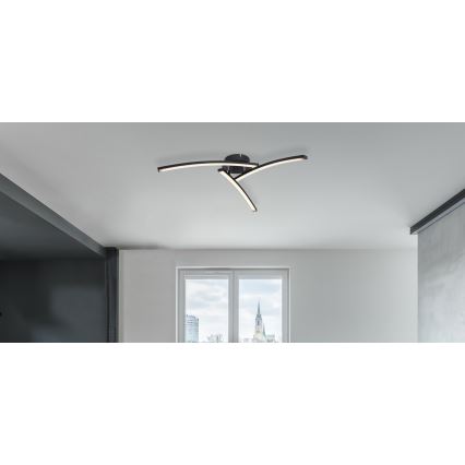 Globo - Lampadario a plafone LED 3xLED/6W/230V 3000/4000/6000K